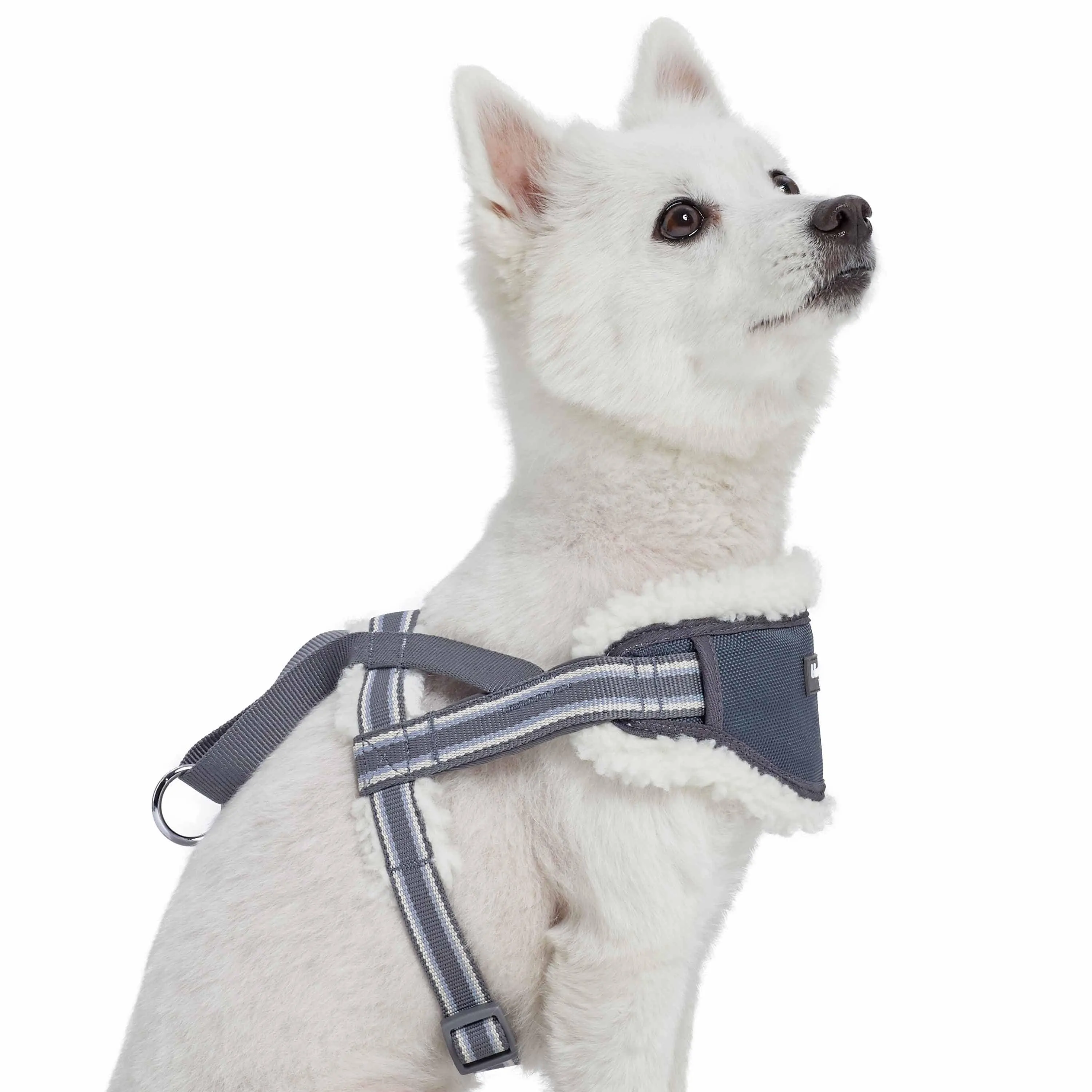 Easy On/Off | Sherpa Fleece Padded Dog Harness in Multi-color Stripes